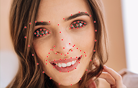 意昂5平台人脸关键点标注